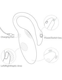 Вибратор для пар Flamingo Max